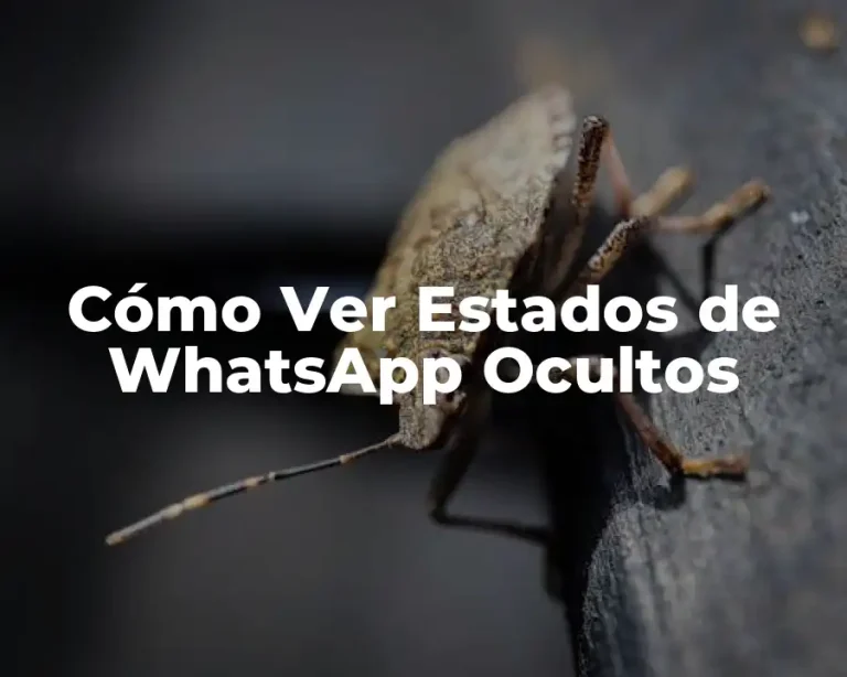 Cómo Ver Estados de WhatsApp Ocultos