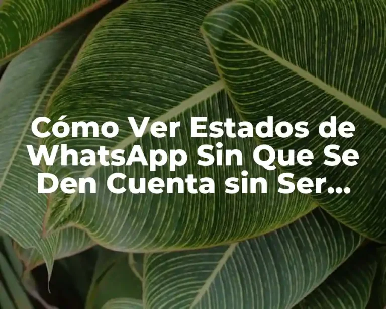 Cómo Ver Estados de WhatsApp Sin Que Se Den Cuenta sin Ser Detective