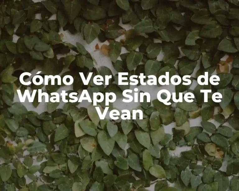 Cómo Ver Estados de WhatsApp Sin Que Te Vean