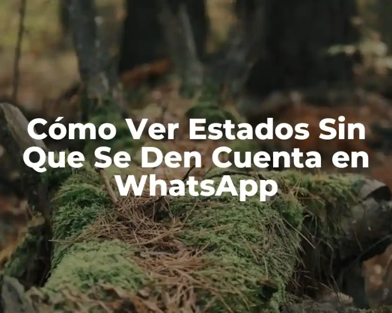 Cómo Ver Estados Sin Que Se Den Cuenta en WhatsApp