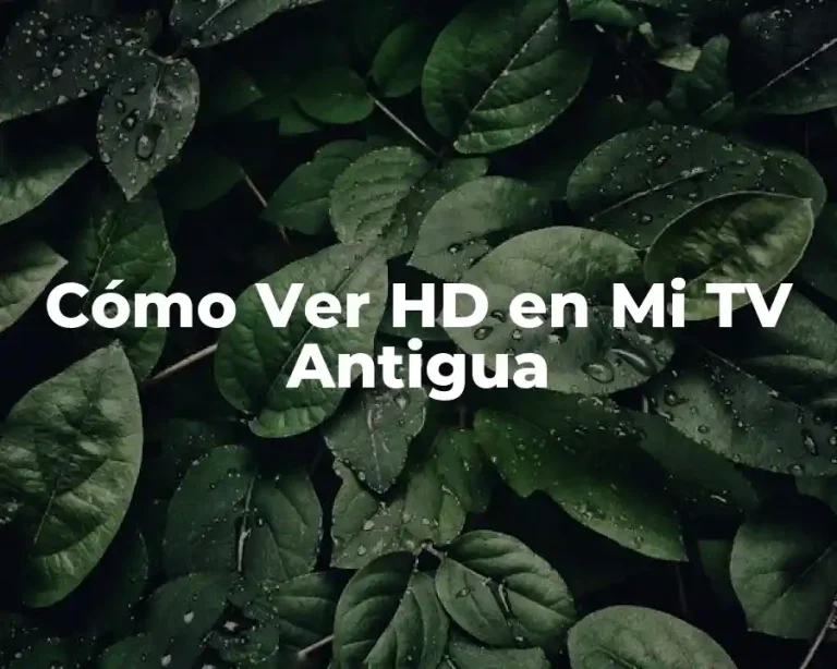 Cómo Ver HD en Mi TV Antigua