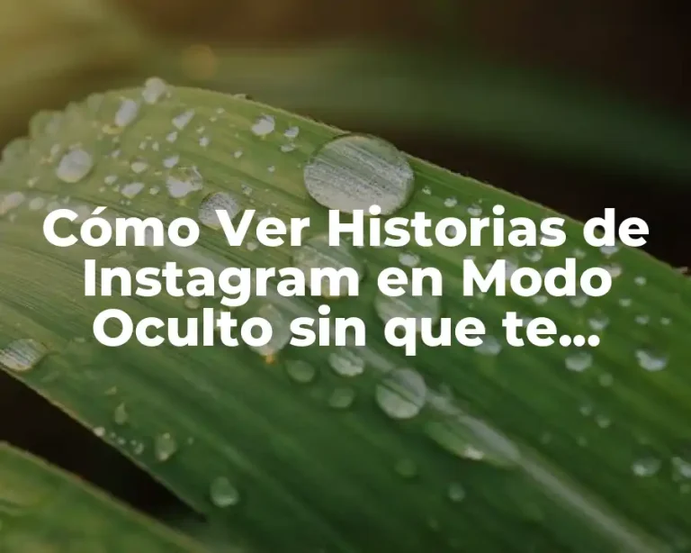 Cómo Ver Historias de Instagram en Modo Oculto sin que te Descubran