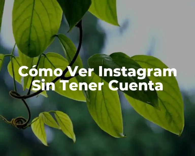 Cómo Ver Instagram Sin Tener Cuenta