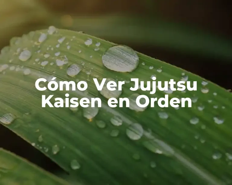 Cómo Ver Jujutsu Kaisen en Orden