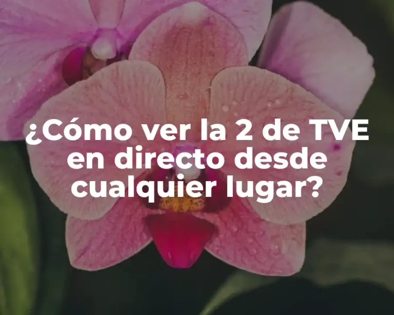 ¿Cómo ver la 2 de TVE en directo desde cualquier lugar?