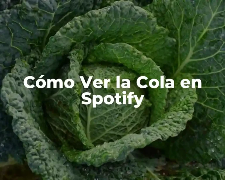 Cómo Ver la Cola en Spotify
