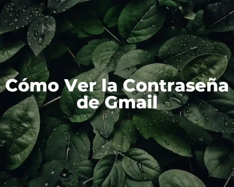 Cómo Ver la Contraseña de Gmail