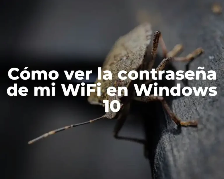 Cómo ver la contraseña de mi WiFi en Windows 10