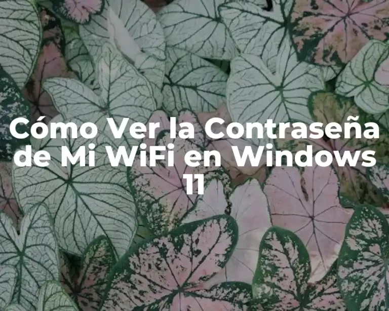 Cómo Ver la Contraseña de Mi WiFi en Windows 11