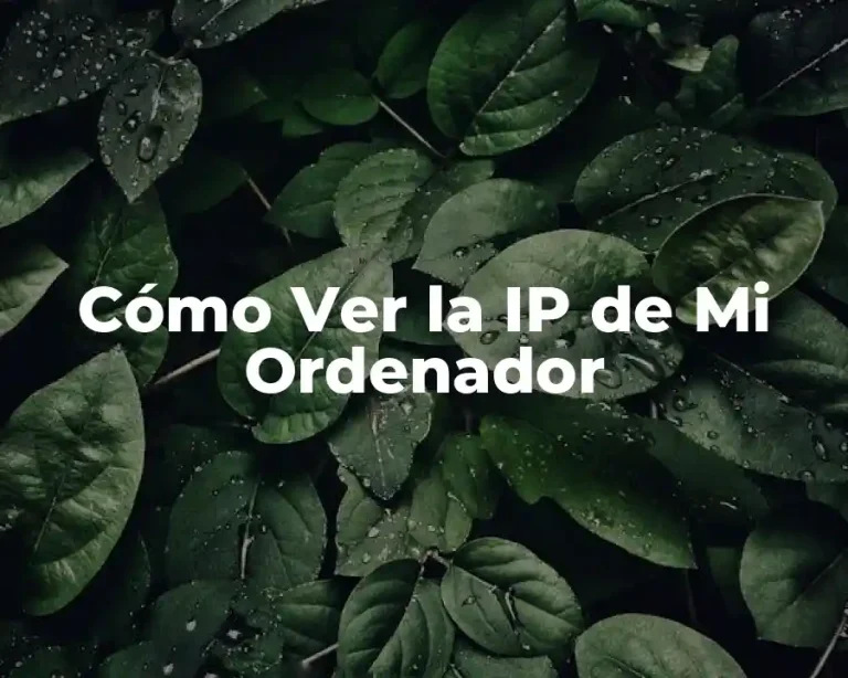 Cómo Ver la IP de Mi Ordenador