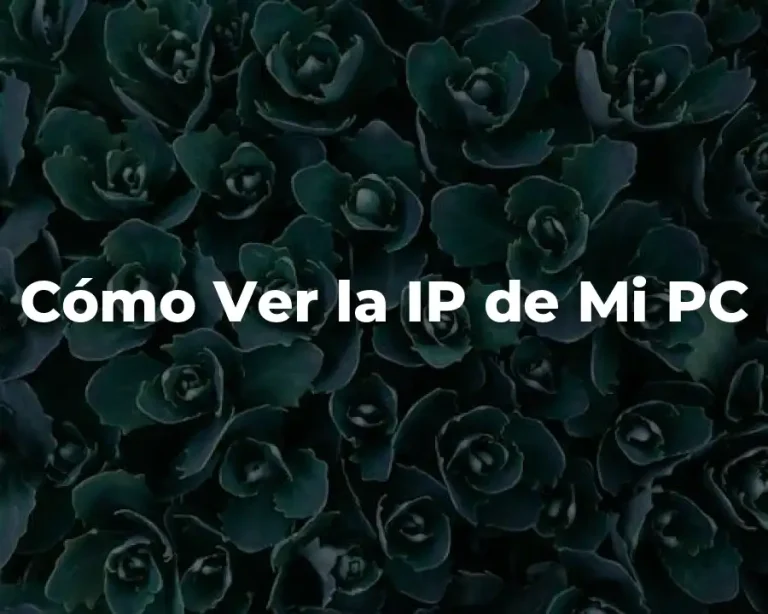 Cómo Ver la IP de Mi PC