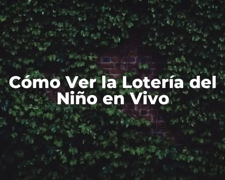 Cómo Ver la Lotería del Niño en Vivo
