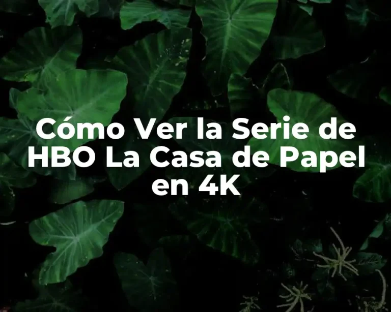 Cómo Ver la Serie de HBO La Casa de Papel en 4K