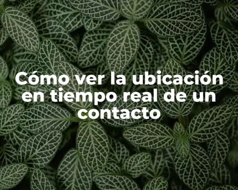 Cómo ver la ubicación en tiempo real de un contacto