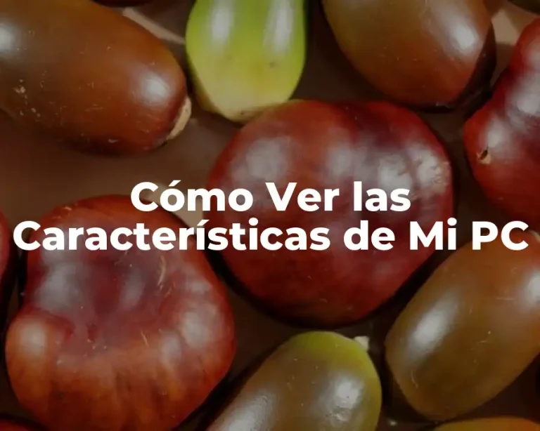 Cómo Ver las Características de Mi PC