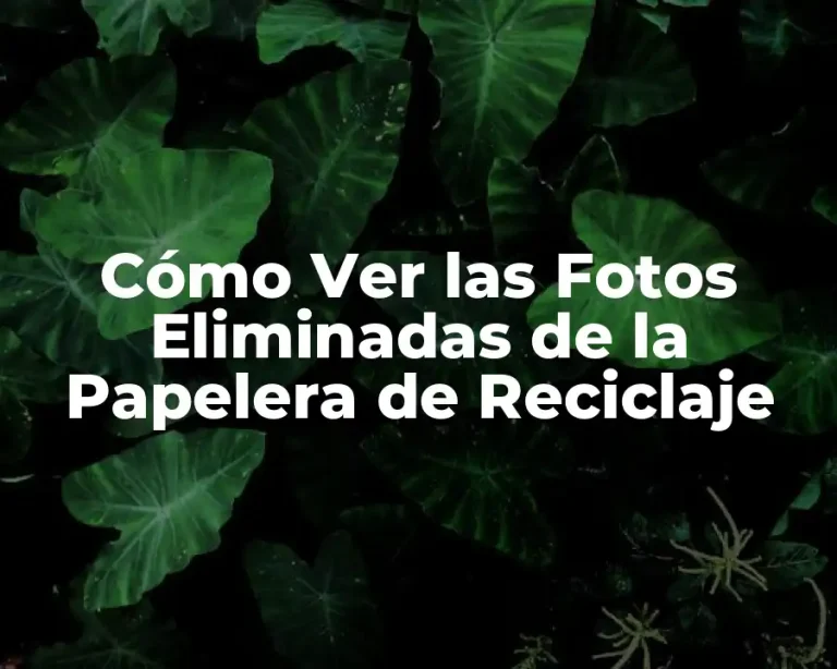 Cómo Ver las Fotos Eliminadas de la Papelera de Reciclaje
