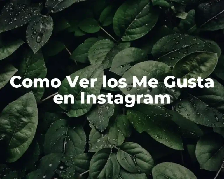 Como Ver los Me Gusta en Instagram