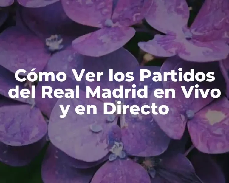 Cómo Ver los Partidos del Real Madrid en Vivo y en Directo