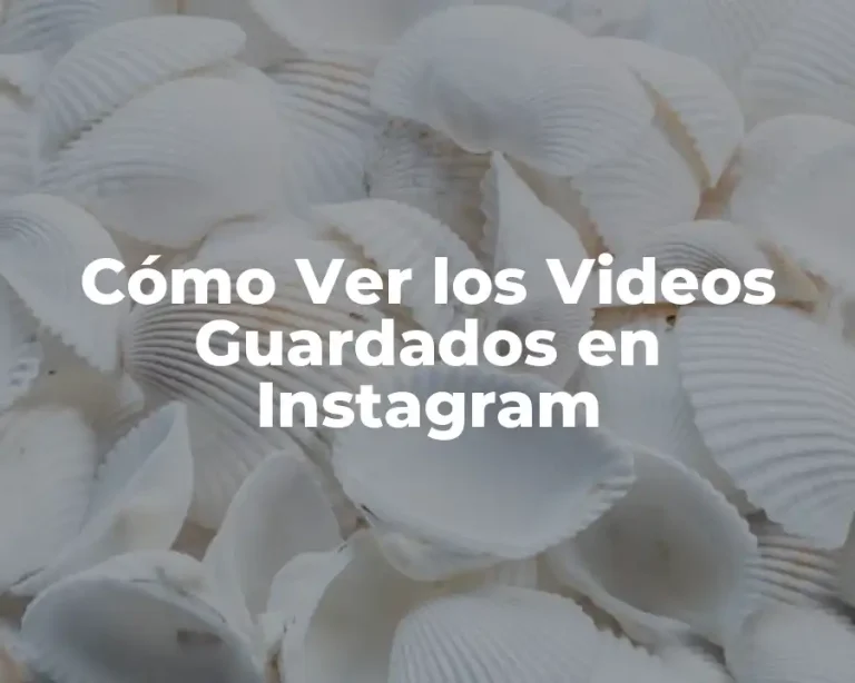 Cómo Ver los Videos Guardados en Instagram