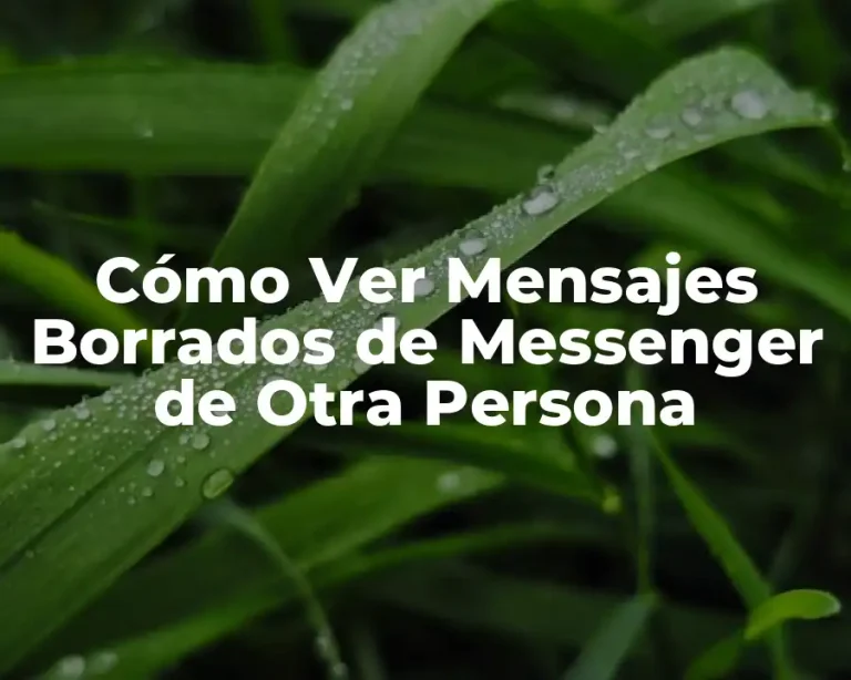 Cómo Ver Mensajes Borrados de Messenger de Otra Persona
