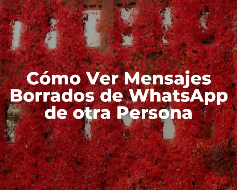 Cómo Ver Mensajes Borrados de WhatsApp de otra Persona