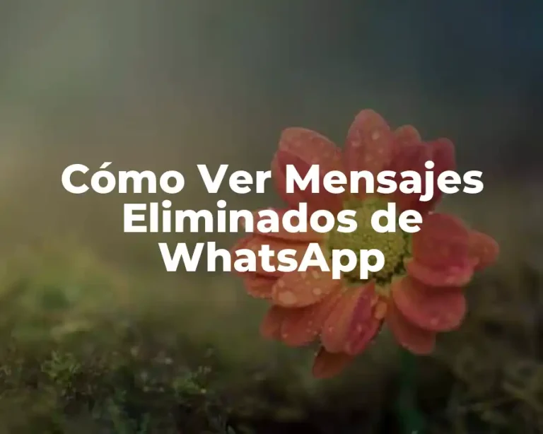 Cómo Ver Mensajes Eliminados de WhatsApp