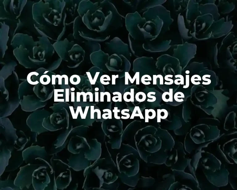 Cómo Ver Mensajes Eliminados de WhatsApp
