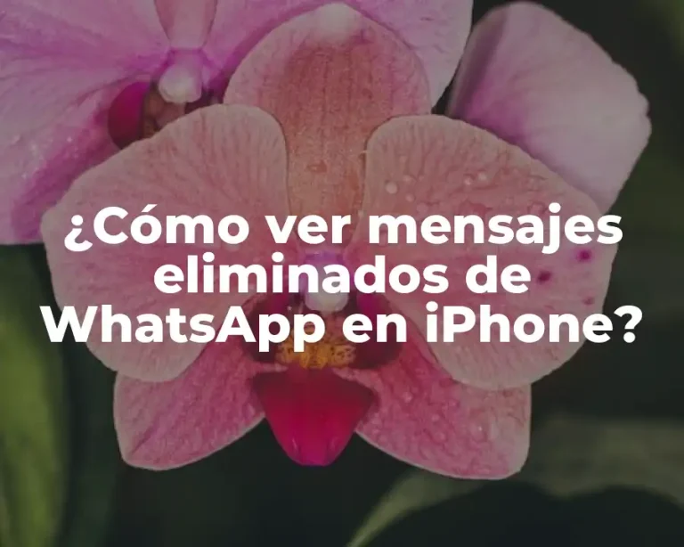 ¿Cómo ver mensajes eliminados de WhatsApp en iPhone?