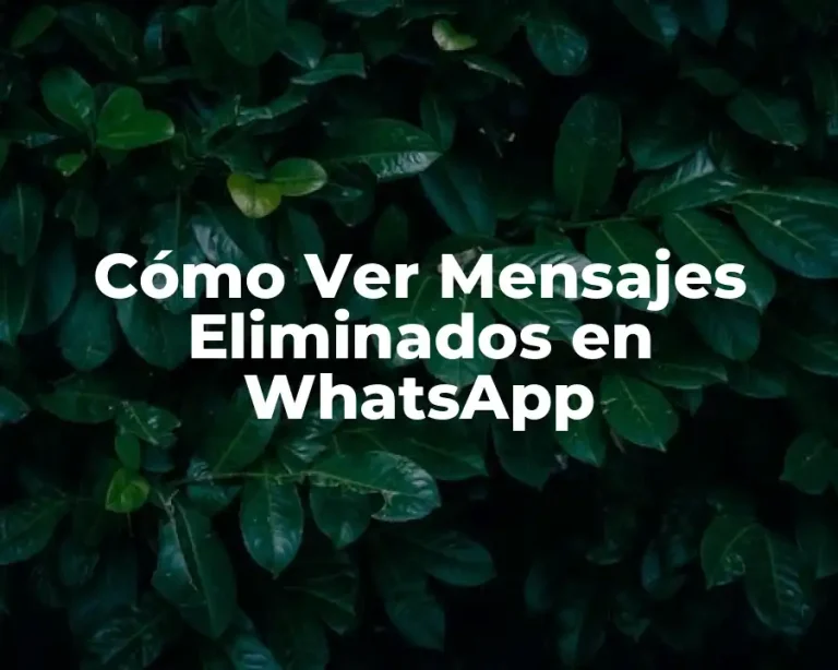 Cómo Ver Mensajes Eliminados en WhatsApp