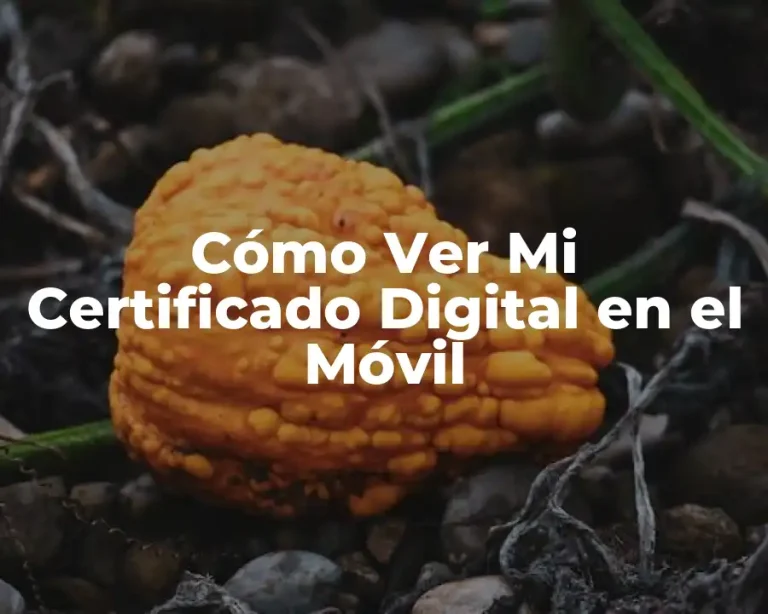 Cómo Ver Mi Certificado Digital en el Móvil