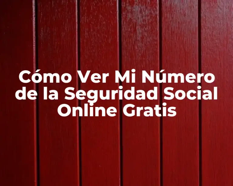 Cómo Ver Mi Número de la Seguridad Social Online Gratis