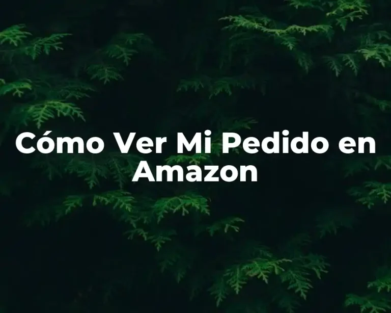 Cómo Ver Mi Pedido en Amazon