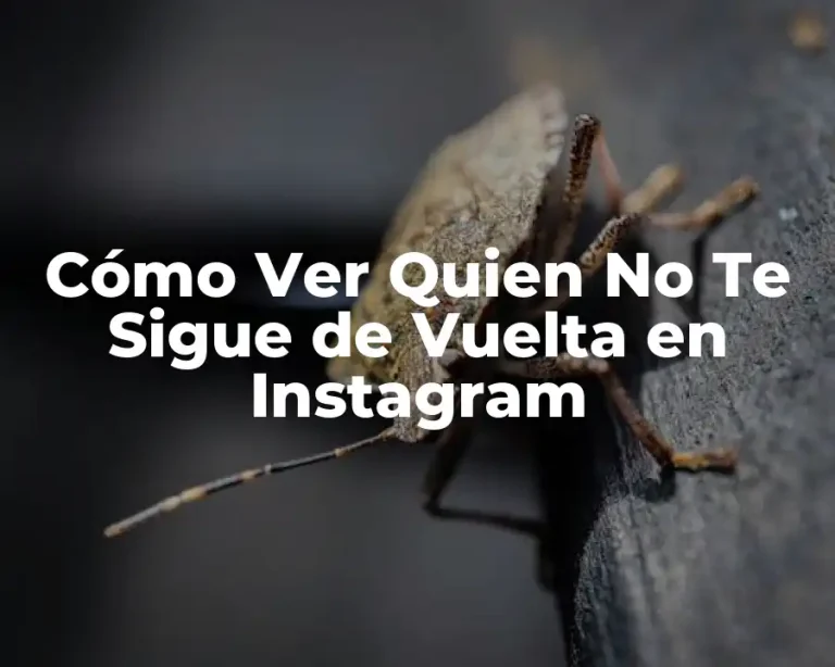 Cómo Ver Quien No Te Sigue de Vuelta en Instagram