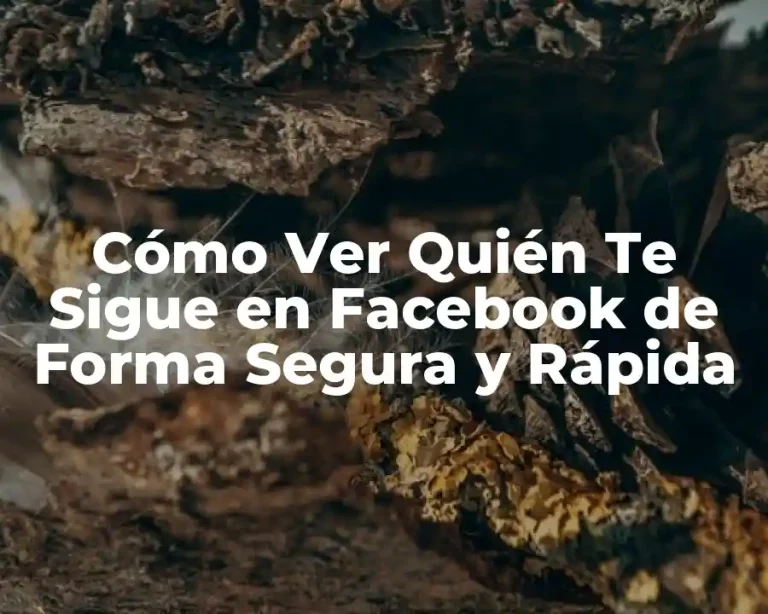 Cómo Ver Quién Te Sigue en Facebook de Forma Segura y Rápida
