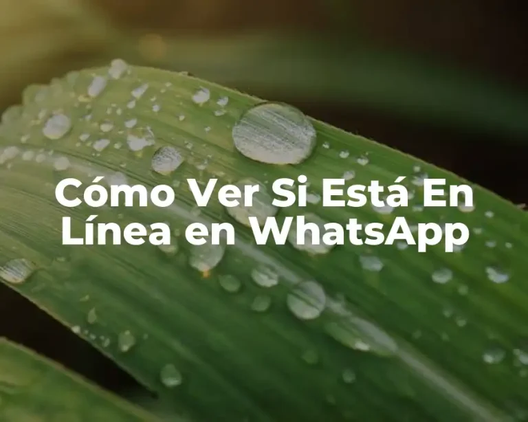 Cómo Ver Si Está En Línea en WhatsApp