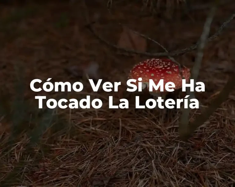 Cómo Ver Si Me Ha Tocado La Lotería
