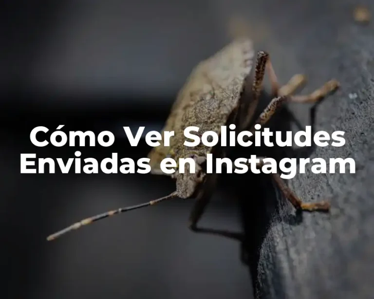Cómo Ver Solicitudes Enviadas en Instagram