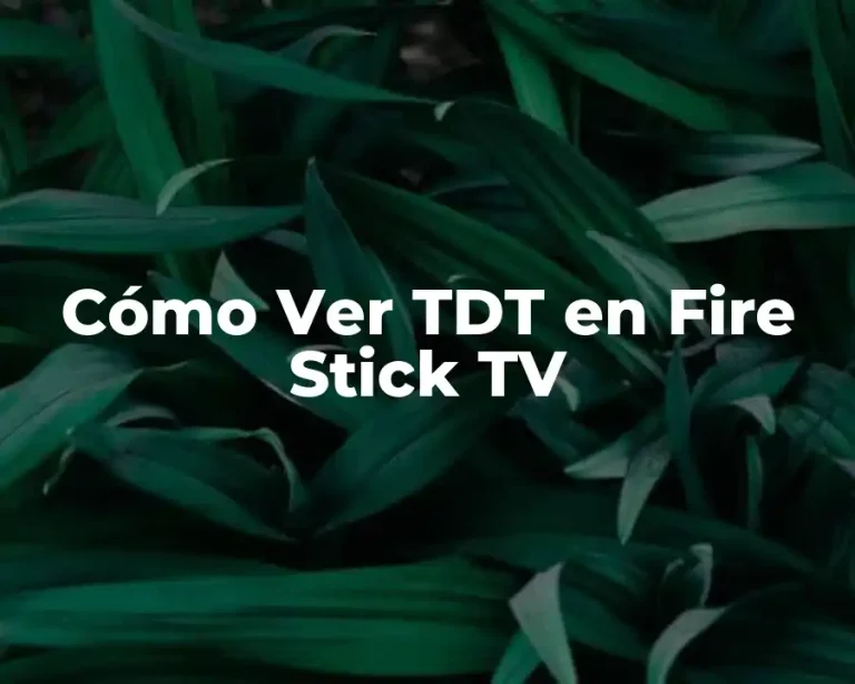 Cómo Ver TDT en Fire Stick TV