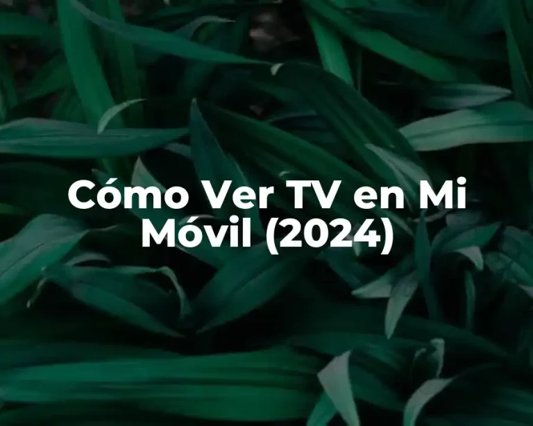 Cómo Ver TV en Mi Móvil (2024)