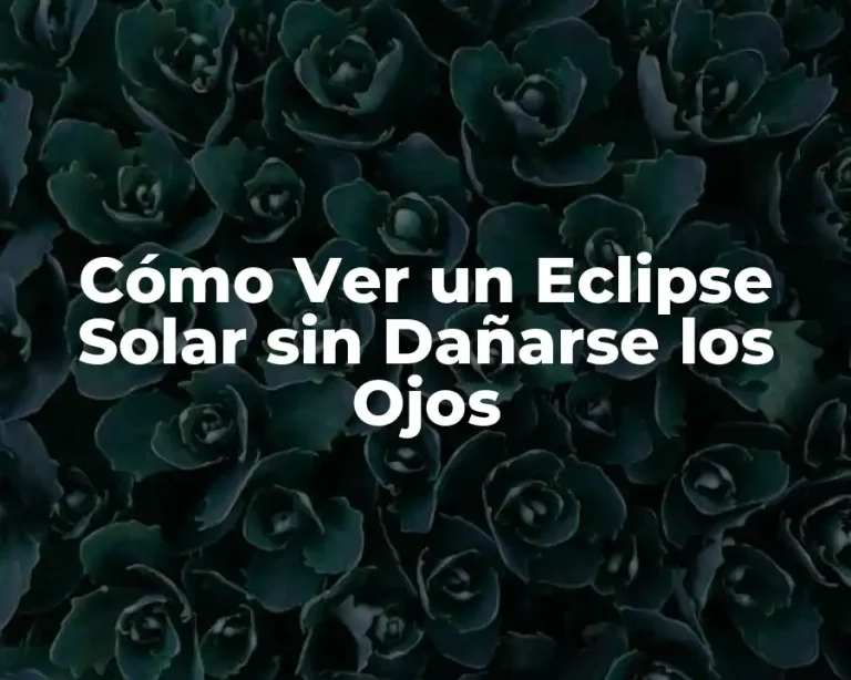 Cómo Ver un Eclipse Solar sin Dañarse los Ojos