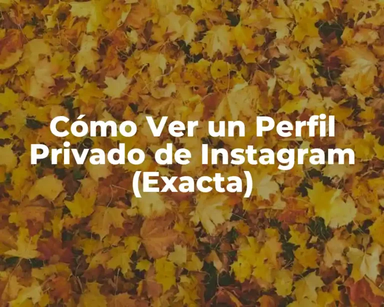 Cómo Ver un Perfil Privado de Instagram (Exacta)