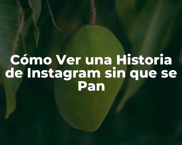 Cómo Ver una Historia de Instagram sin que se Pan
