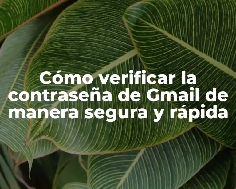 Cómo verificar la contraseña de Gmail de manera segura y rápida