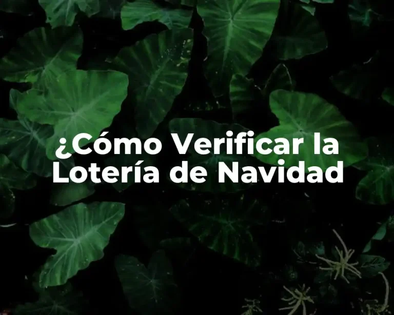 ¿Cómo Verificar la Lotería de Navidad
