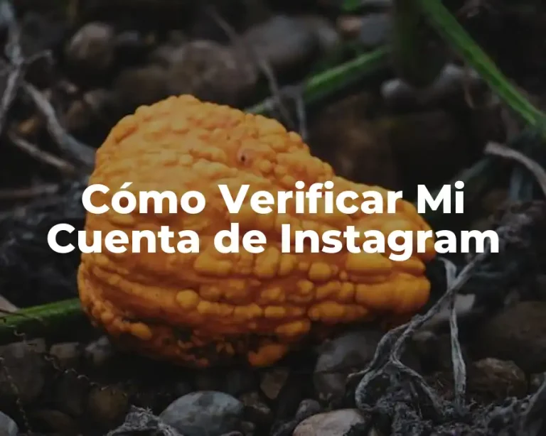 Cómo Verificar Mi Cuenta de Instagram