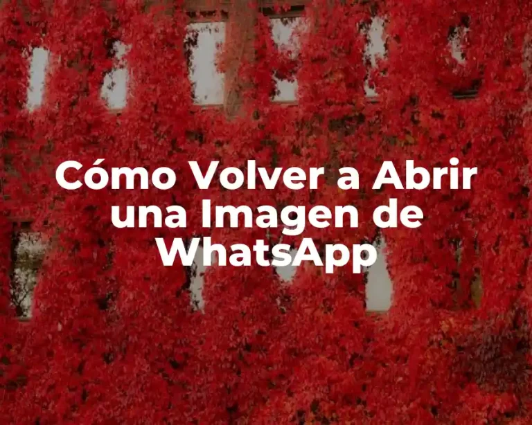 Cómo Volver a Abrir una Imagen de WhatsApp