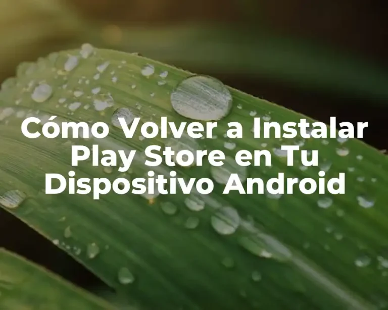 Cómo Volver a Instalar Play Store en Tu Dispositivo Android