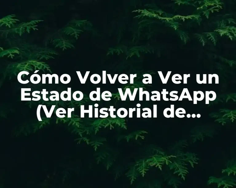 Cómo Volver a Ver un Estado de WhatsApp (Ver Historial de Estados)