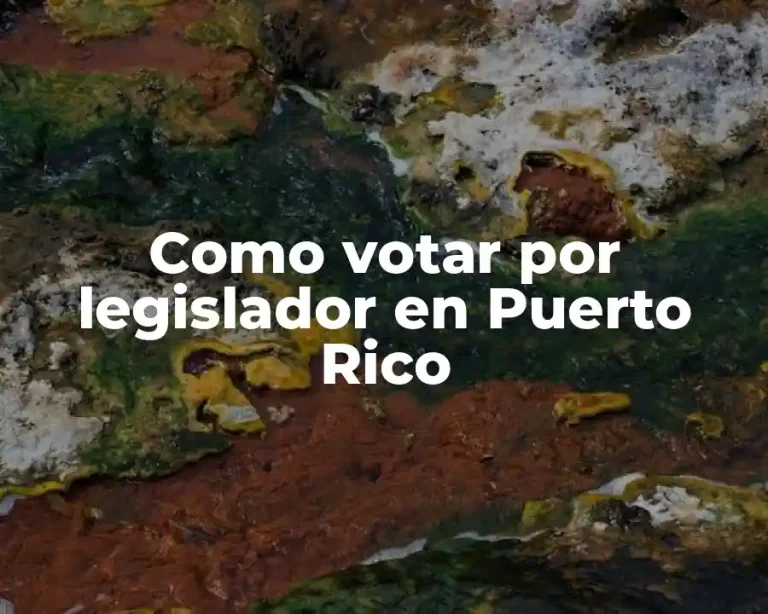 Como votar por legislador en Puerto Rico