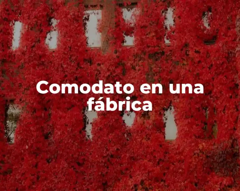 Comodato en una fábrica